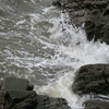 Img_0015_thumb