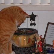 Dscf0023_card
