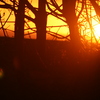 Img_2965_thumb
