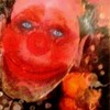 Clown__aarts__thumb