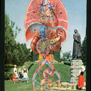Morganlappin_sunday_card