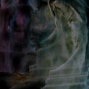 Bild_644_card