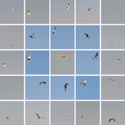 Les_paraboles_de_l_apres-midi_card