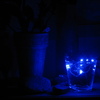 Img_6362_thumb