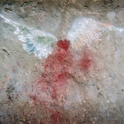 Wings_card