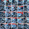 Les_murmures_du_tiede_zephyr__1_thumb