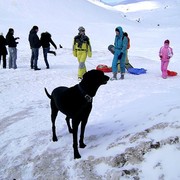 31744_775883_card