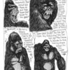 Jungle_thumb