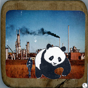 Morganlappin_herpanda_card