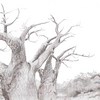 Trees1_001_thumb