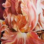 Coral_light