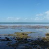 Bay2_thumb
