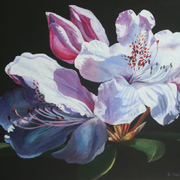 Flowers_2_1000_card
