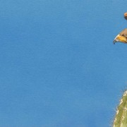 Bookmark_2_card