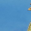Bookmark_2_thumb