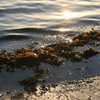 Img_0023_thumb
