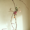 Ikebana-032_thumb