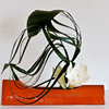 Ikebana-096_thumb
