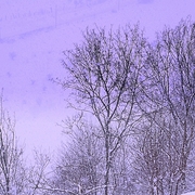 Invio0057a_card