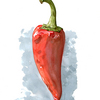 Pepper_web_thumb