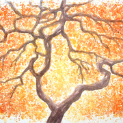 Autumn_tree_1_card