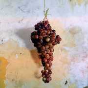 Img020_card
