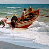 Dsc01751_thumb