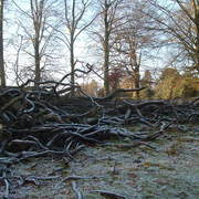 Janet_24-12-2008_020_card