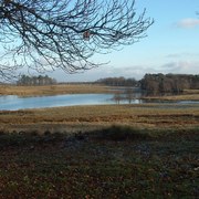 Janet_24-12-2008_021_card