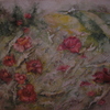 Mohn_teil_1_thumb