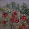 Mohn_teil_2_thumb