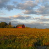 Country_backroad_thumb