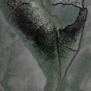 Leaf_card