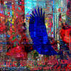 Eagle_thumb