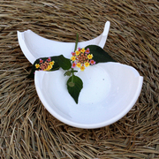 2008_card