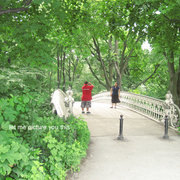 Img_0416_card