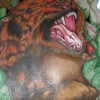 Wildcat_thumb