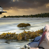 1098-pacific_pelicans_sunset_thumb