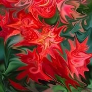 Flameberries_card