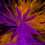Royalstar_card