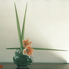 Ikebana-026_thumb