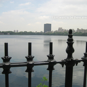 Img_0415_card