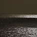 _mg_0739_gold_sea_6x4_square