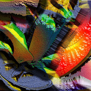 Shoes_1
