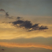 84160031_card