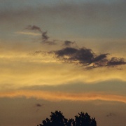 84160032_card