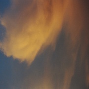 84160034_card