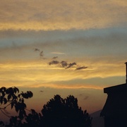 84160036_card