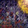 Falling_with_a_star_thumb