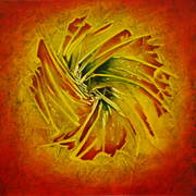 Circulating_seeds_card